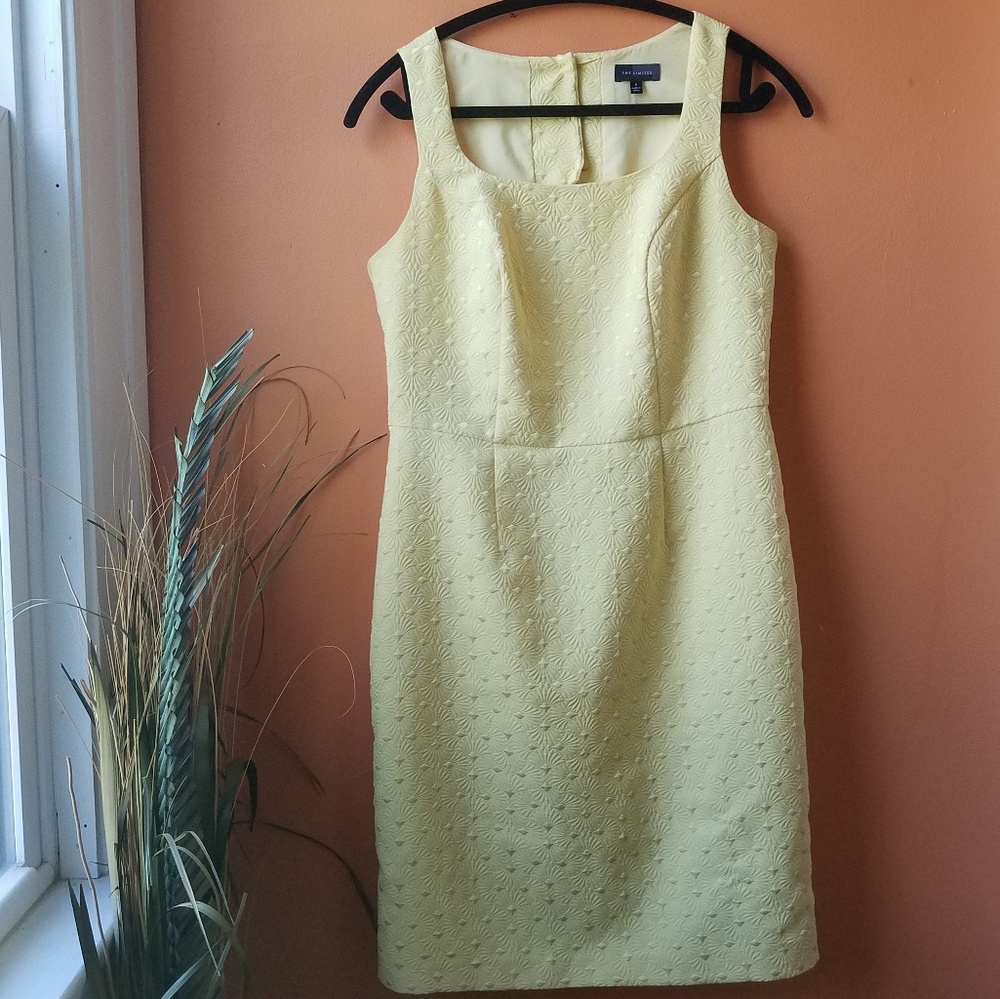The Limited Textured Sleeveless Sheath Dress